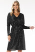 Evening dress model 204284